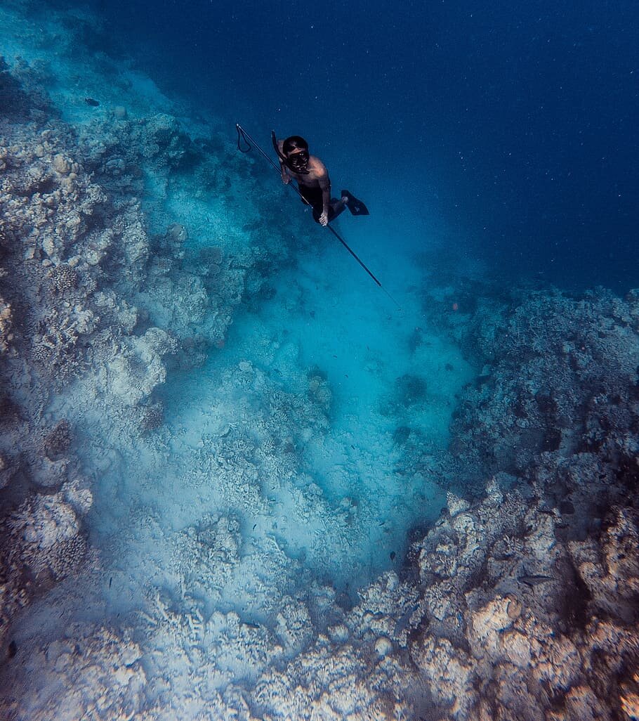Spearfishing - Courses, training and trips